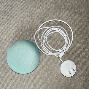 Google Nest Mini in Mint Green NEW